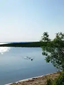 Гостевой дом рядом с лесом - 5