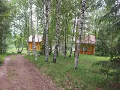 Сказка - 13