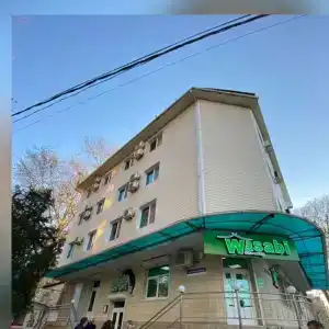 Багира - 0