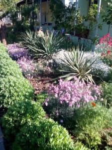 Дом на Пляжной 12 - 20