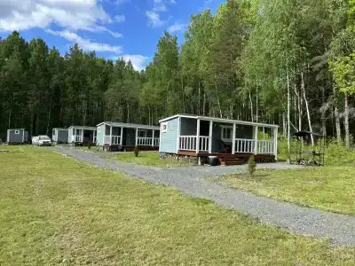 Мелодия леса - 17