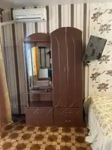 Кипарис - 163