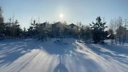 Коди Ярви - 94