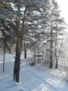 Озерная 38 - 192