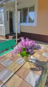 Частный дом со своим двором - 9
