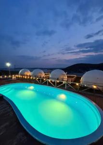 Аквариум - 163