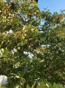 Квартиры на Цветочной 34 - 948