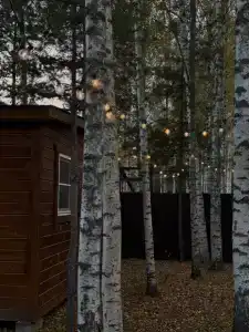 Эко-глэмпинг Василёво - 11