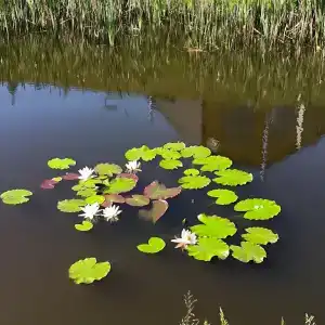 Гостевой дом с баней на дровах - 17