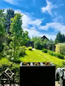 Счастливый Слон - 30