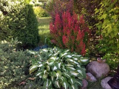 Уютный домик с баней на Можайском Море - 17