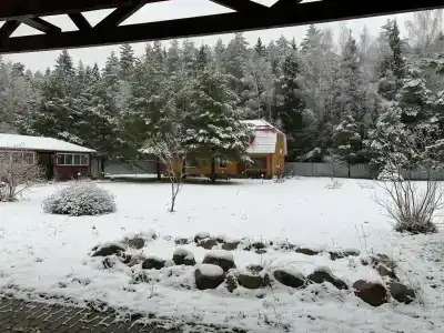 у леса с баней - 9