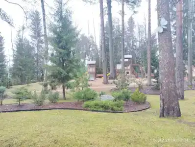Осельки - 62