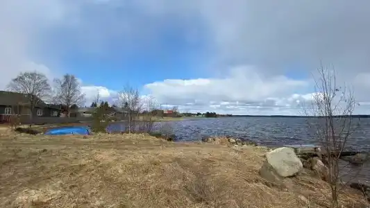 Коди Ярви - 152