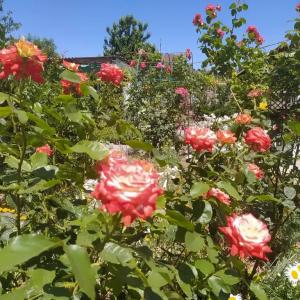 Дом на Пляжной 12 - 72