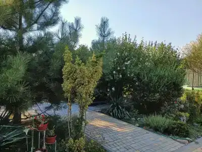 Повесол - 39