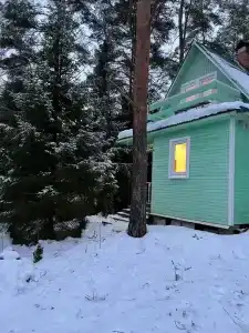 Лесная сказка на берегу Ладоги - 5