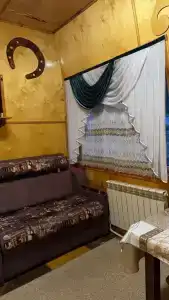 Золотой мустанг - 1