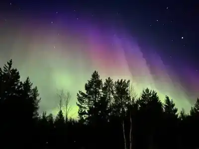Частный дом среди леса - 33