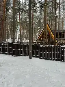 Сказочный дом в лесу - 4