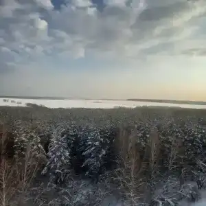 Дворик - 5