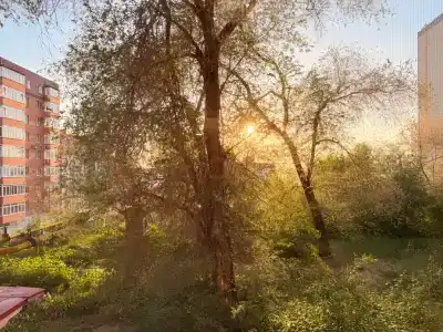 Квартиры на Некрасовской 20 - 64