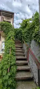 Квартиры на Ермолова 7 - 214