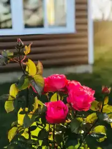 Уютный Двухэтажный коттедж с шикарной Баней на дровах - 43