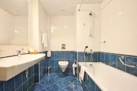 Амбассадор - 17