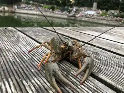 Домик у озера - 20