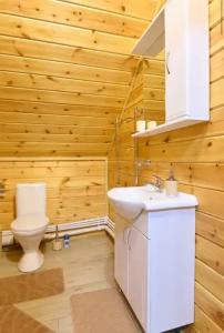 Dмитриевский - 97