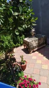 все в нем - 12