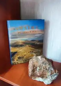 Квартиры на Олимпийской 53А - 281