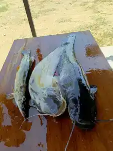 Уютный домик рыбака - 33