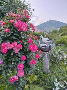 Дом для отдыха и рекреации