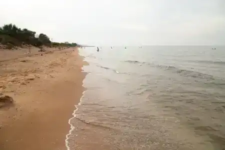 Планета лета - 15