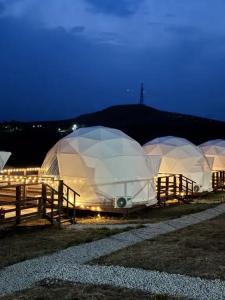 Аквариум - 142