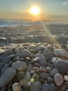 Модуль Дача-1 - 117