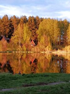 на Берендеевской - 21