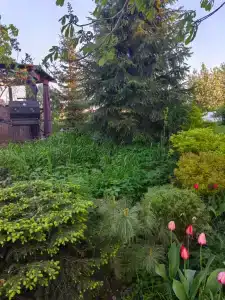 Частный дом для туристов - 8