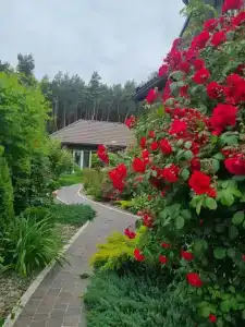 Brest Dream Gaden - 12