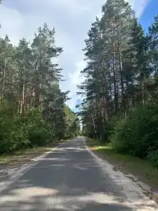 Яблоневый сад - 26