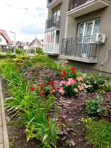 Квартиры на Сосновой 8 - 291