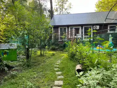 Дом в сосновом бору с гортензиями - 129