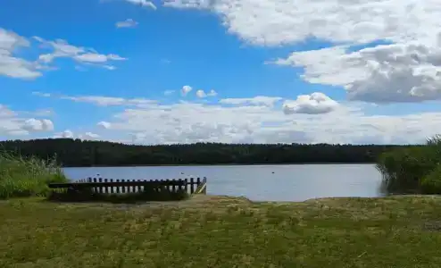 Сосновый рай - 7