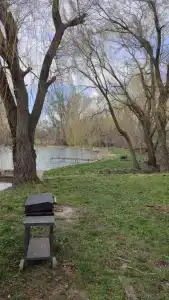 Тихий пруд - 7