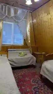 Золотой мустанг - 29
