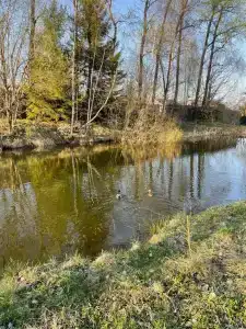 Экокоттедж из кедра и лиственницы с рыбалкой - 53
