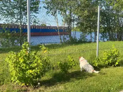 Дом на первой линии у реки Дубна - 129