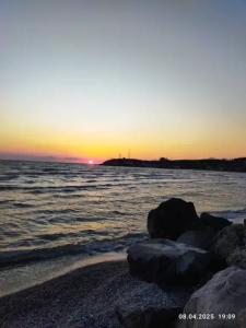 Ракушка Казантипа - 16